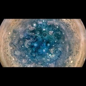 Meet your Posher, Damian